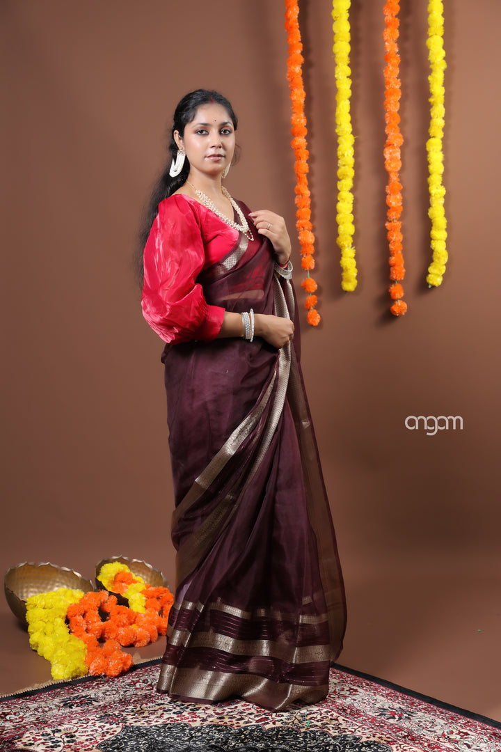 Graceful Brown Organza Saree with Rich Border and Sheer Elegance