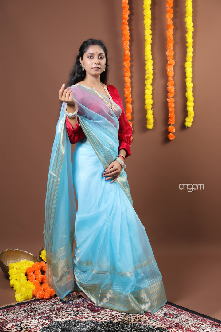 Elegant Sky Blue Organza Saree with Golden Border and Sheen