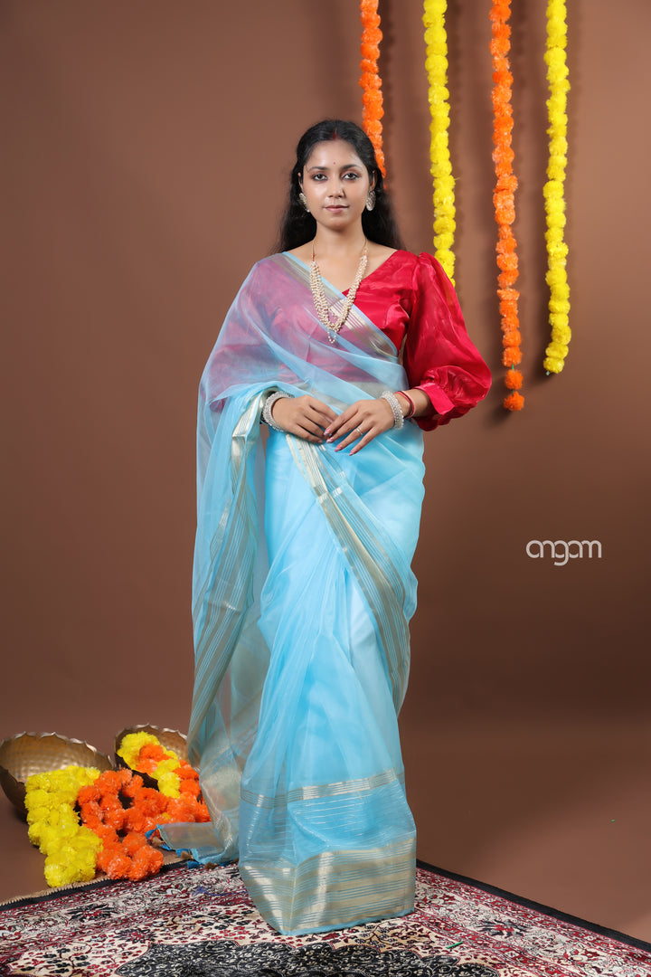 Elegant Sky Blue Organza Saree with Golden Border and Sheen
