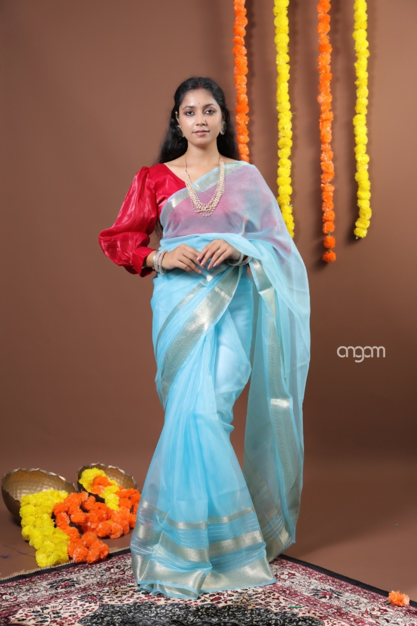 nazuk aasmani Orgenza saree