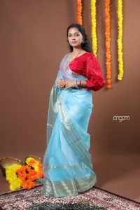 snowy sky  Orgenza Saree