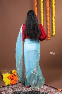 nazuk aasmani Orgenza saree