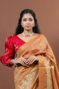 orange tint banswada embroidery saree